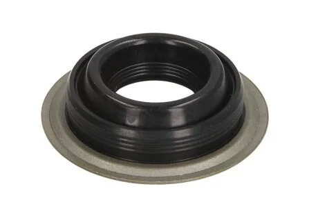Елемент форсунки Common Rail для ENGITECH ENT250524 фото товара