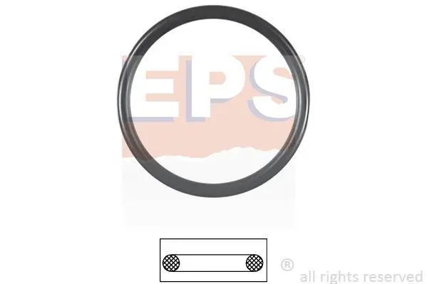 <strong>Прокладка термостата EPS 1.890.653 (фото 1)</strong>