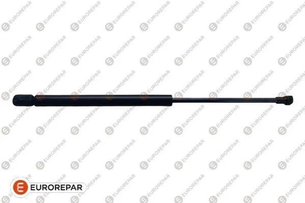 <strong>Амортизатор багажника Eurorepar 1615075980 (фото 1)</strong>