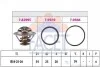 <strong>Термостат Ducato/Jumper/Boxer 2.5/2.8 D/TDI/JTD 90- (82 C) FACET 7.8299 (фото 1)</strong>