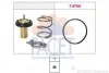 <strong>Термостат Fiat Ducato 2.0-2.3 D 11-> FACET 7.8822 (фото 1)</strong>