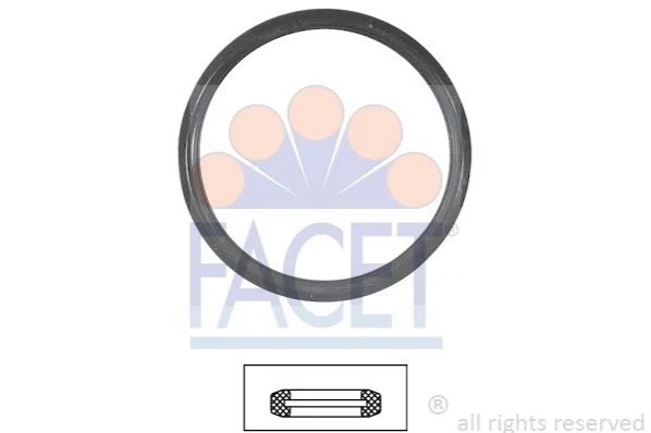 <strong>Прокладання термостату FACET 7.9547 (фото 1)</strong>
