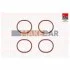<strong>CITROEN К-кт прокладок (4шт.!) C4/5/8,Jumpy,Fiat Scudo,Ford C-Max,Focus II,Galaxy,Kuga,Mondeo IV,Peugeot,Volvo 2.0HDI/TDCi 03- FAI IM1357 (фото 1)</strong>