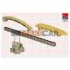 <strong>Комплект ланцюга ГРМ BMW E46/E39/E38/E53 M57 98-05 FAI TCK214NG (фото 1)</strong>