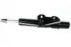 <strong>Амортизатор передній газ MERCEDES-BENZ Spri FAST FT11514 (фото 1)</strong>