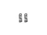 <strong>Пружина підвіски перед. Renault Trafic II /Opel Vivaro/Nissan Primastar (01-14) FAST FT12249K (фото 1)</strong>