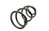 <strong>Пружина передня FORD Transit 06-14 FAST FT12291 (фото 1)</strong>