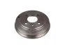 <strong>Барабан гальмівний Peugeot Bipper (08-)/Fiat 500, Panda (03-) Fast FAST FT32002 (фото 1)</strong>
