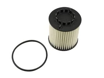 Фільтр масляний вставка 1.3CDTI 16V, 1.3MJET 16V Fiat Fiorino 07-, Opel Astra H 04-14, Opel Corsa D 06-15 для Opel, Fiat, Alfa Romeo FAST FT38023 фото товару