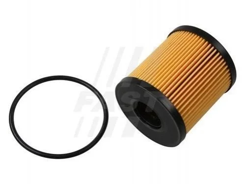 <strong>Фільтр масляний 2.2 Jtd FAST FT38074 (фото 1)</strong>