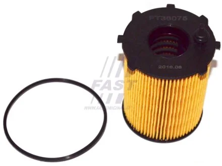 Фільтр масляний 1.6HDI 16V, 1.6HDI 8V, 1.4HDI 8V, 1.4HDI 16V Fiat Scudo 07-16, Peugeot Partner 96-08, Citroen Berlingo 08-18 для FAST FT38075 фото товару