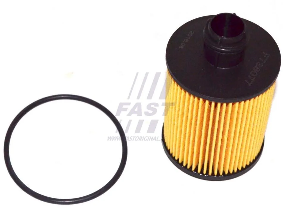 <strong>Фільтр масляний 1.3MJET 16V, 1.6MJET 16V, 1.9MJET 16V, 2.0MJET 16V, 1.9MJET 8V Fiat Doblo 09-23, Fiat Fiorino 07-, Opel Corsa D 06-15 FAST FT38077 (фото 1)</strong>