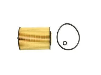 <strong>Фільтр масляний 1.6TDI 16V, 2.0TDI 16V VW Golf VI 09-14, Audi A6 11-18, Skoda Octavia A7 13-19 FAST FT38098 (фото 1)</strong>