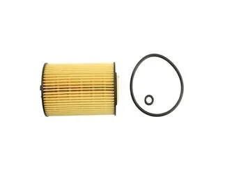 Фільтр масляний 1.6TDI 16V, 2.0TDI 16V VW Golf VI 09-14, Audi A6 11-18, Skoda Octavia A7 13-19 для FAST FT38098 фото товару