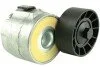<strong>Натягувач ременя генератора Fiat Ducato 3.0d (06-), (14-) Fast FAST FT44613 (фото 1)</strong>