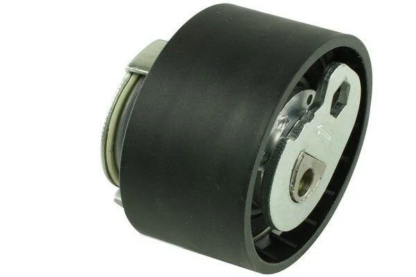 <strong>Ролик ГРМ натяжний FIAT Ducato 06-14, Ducato 14-, Ducato 02-06; IVECO Daily E5 11-14, Daily E4 06-11, Daily E3 99-06 FAST FT44642 (фото 1)</strong>