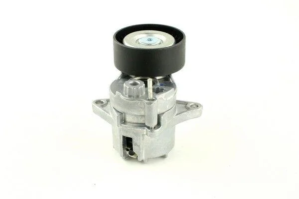 <strong>Натягувач приводного ременя Mercedes Sprinter 906 (06-) Fast FAST FT44646 (фото 1)</strong>