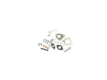 Комплект Прокладок Турбіни Fiat Doblo 09 1.3 Jtd Kpl для Fiat, Opel, Lancia, Alfa Romeo FAST FT48404 фото товару