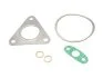 <strong>Комплект прокладок турбіни FIAT Ducato 06-14; PEUGEOT Boxer 06-14; CITROEN Jumper 06-14 FAST FT48406 (фото 1)</strong>