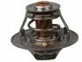 <strong>Термостат Citroen Jumper 2.8l/Fiat Ducato/Opel Movano 2.4-2. FAST FT58032 (фото 1)</strong>