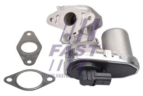 Клапан EGR Fiat Ducato 2.2JTD (06-) для Ford, Fiat, Citroen, Peugeot, Land Rover FAST FT60232 фото товару