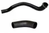 <strong>Патрубок інтеркулера лівий (комплект) Ford Transit 2.2TDCI (06-) Fast FAST FT61504 (фото 1)</strong>