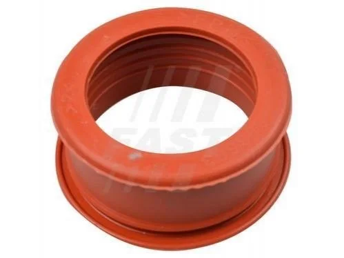 <strong>Шланг Турбины Seal 1.6jtd FAST FT61773 (фото 1)</strong>