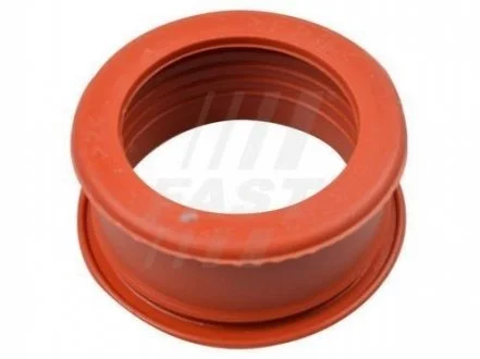 Шланг турбіни Seal 1.6jtd для FAST FT61773 фото товару