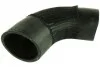 <strong>Патрубок інтеркулера правий Fiat Ducato (06-) 2.2 JTD Fast FAST FT61932 (фото 1)</strong>