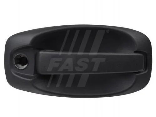 <strong>РУЧКА ДВЕРИ FAST FT94555 (фото 1)</strong>