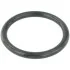 <strong>Кільце гумове FEBEST RINGAH-009 (фото 1)</strong>
