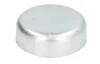 <strong>Заглушка блоку циліндрів FEBI BILSTEIN 03202 (фото 1)</strong>