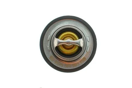 Термостат системи охолодження (92°C) CHEVROLET LACETTI CHRYSLER 300C FORD GALAXY I LADA NIVA OPEL ASCONA C, ASTRA F, ASTRA G, ASTRA G/KOMBI, COMBO TOUR, COMBO/MINIVAN, CORSA A 1.0-3.5 08.73- для Opel, Volkswagen, Audi, Daewoo FEBI BILSTEIN 04773 фото товару
