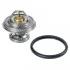 <strong>Термостат Mercedes-Benz (вир-во FEBI) FEBI BILSTEIN 09672 (фото 1)</strong>