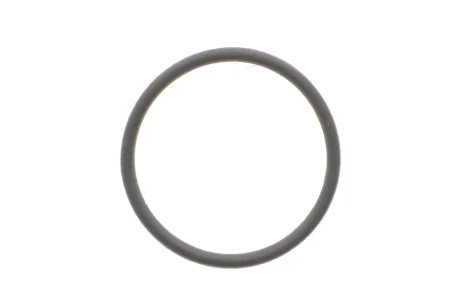 Кільцо термостата M 271 для Mercedes FEBI BILSTEIN 100077 фото товару
