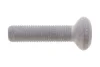<strong>Болт ступиці(з шліцем типу Torx) FEBI BILSTEIN 102234 (фото 1)</strong>