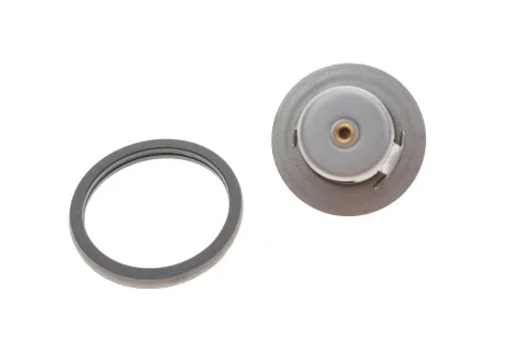 Термостат з ущільнюючим кільцем для Ford FEBI BILSTEIN 106104 фото товару