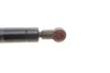 <strong>Нивелятор коливань паливного насоса FEBI BILSTEIN 14691 (фото 3)</strong>