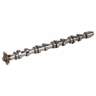 FEBI VW Распредвал Audi A1/3/4/5/6,Q3/5,Amarok,Caddy III,IV,Crafter,Golf V,VI,Passat,T5,Tiguan,Touran,Skoda Fabia II,Octavia II 1.6/2.0TDI для Volkswagen, Skoda, Audi, Seat FEBI BILSTEIN 171969 фото товару