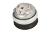 <strong>FEBI DB Подушка двигателя W220 передн пер. прав. FEBI BILSTEIN 17954 (фото 2)</strong>