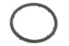 <strong>Кільце ущільнювача форсунки FEBI BILSTEIN 18766 (фото 1)</strong>