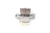<strong>Водяний насос FEBI BILSTEIN 22206 (фото 8)</strong>
