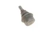 <strong>Кульова опора перед. ниж. DB CLS (C129), E (W211), S (W220), SL (R230) 10.98-01.12 FEBI BILSTEIN 23417 (фото 2)</strong>