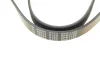 <strong>Пасок велоклиновий FEBI BILSTEIN 28854 (фото 4)</strong>