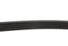 <strong>Поліклиновий ремінь FIAT / JEEP / ALFA ROMEO / LANCIA FEBI BILSTEIN 28856 (фото 3)</strong>