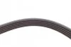 <strong>Пасок велоклиновий FEBI BILSTEIN 28882 (фото 3)</strong>