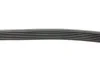 <strong>Ремінь генератора 6PK1043 Golf III/Passat/T4 1.9D/TD (TP) FEBI BILSTEIN 28915 (фото 2)</strong>