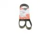 <strong>Ремінь генератора Citroen Berlingo/Peugeot Partner 1.6 08- FEBI BILSTEIN 28933 (фото 1)</strong>