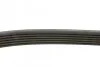 <strong>Ремінь генератора Citroen Berlingo/Peugeot Partner 1.6 08- FEBI BILSTEIN 28933 (фото 2)</strong>