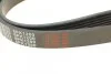 <strong>Ремінь генератора Citroen Berlingo/Peugeot Partner 1.6 08- FEBI BILSTEIN 28933 (фото 3)</strong>